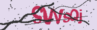 Captcha認証コード